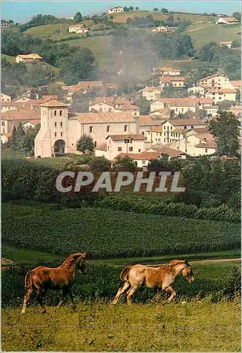 Cartes postales moderne St Pee sur Nivelle