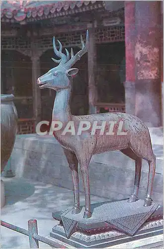 Cartes postales moderne Bronze Deer in Front of Chu Xiu Gong (Palace of Gathering Excellence)