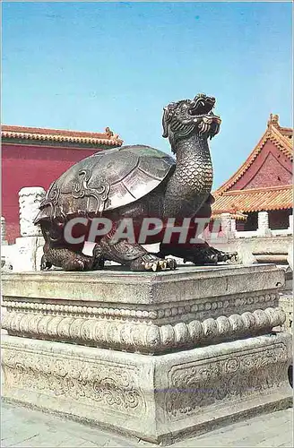 Cartes postales moderne Bronze Tortoise in Front of Tai He Dian (Hall of Supreme Harmony) Tortue