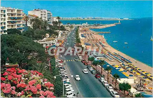 Cartes postales moderne La Cote d'Azur Cannes La Plage du Midi