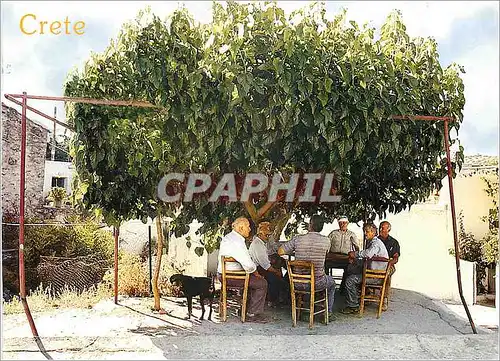 Cartes postales moderne Crete