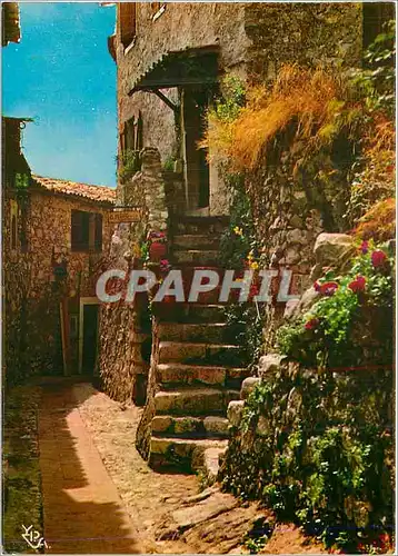 Cartes postales moderne Au Soleil de la Cote d'Azur Vieilles Maisons aux Murs Fleuris