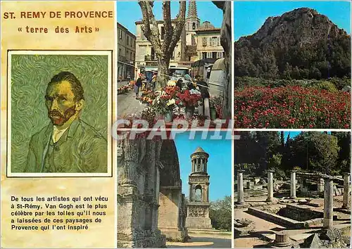 Cartes postales moderne St Remy de Provence Terre des Arts Vincent Van Gogh