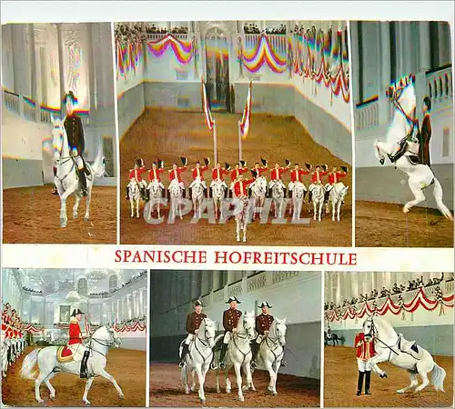 Cartes postales moderne Vienne l'Ecole d'Equitation Espagnole Chevaux