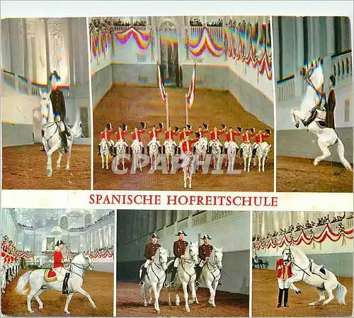 Moderne Karte Vienne l'Ecole d'Equitation Espagnole Chevaux