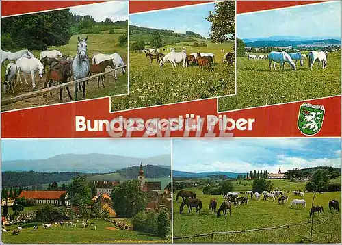 Cartes postales moderne Piber Steiermark Austria