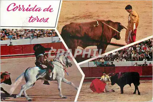 Cartes postales moderne Corrida de Toros Taureau