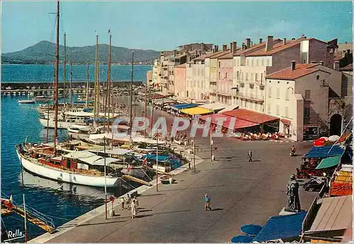 Cartes postales moderne La Cote des Maures Saint Tropez (Var)
