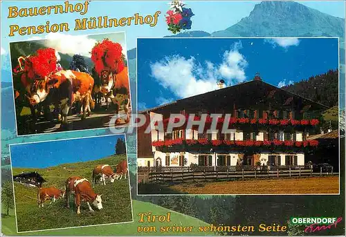 Moderne Karte Bauernhof Pension Mullnerhif Tirol Von Seiner Schonsten Seite