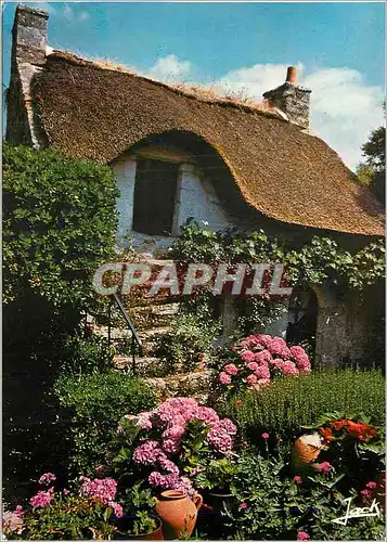 Cartes postales moderne Couleurs de Bretagne Chaumiere Fleurie a l'Ile aux Moines