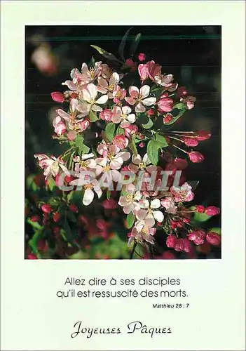 Cartes postales moderne Joyeuses Paques