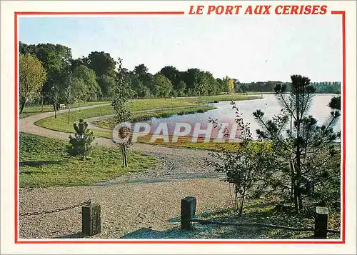 Cartes postales moderne Draveil Juvisy Vigneux (Essonne) Le Port aux Cerises