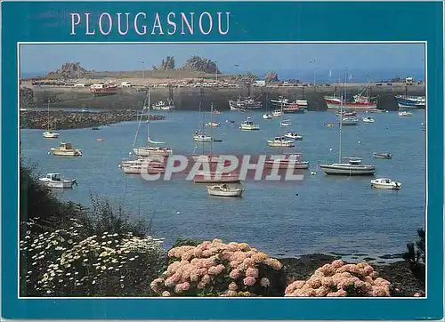 Cartes postales moderne La Bretagne en Couleur Plougasnou (Finistere)