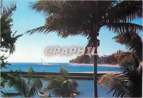 Cartes postales moderne Ile de la Reunion (France) Ocean Indien le Port de Saint Gilles
