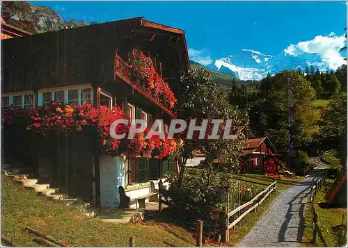 Moderne Karte Wengen Altes Bauernhaus im Schiltwald