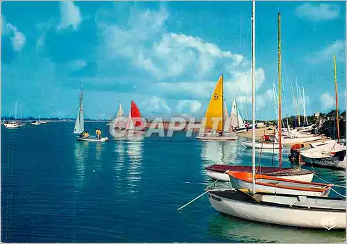 Cartes postales moderne Franceville (Calvados) le Port des Yachts