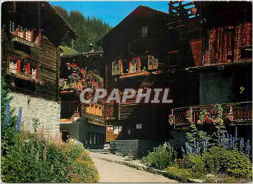Cartes postales moderne Vieux Chalets Valaisans Old Swiss Chalets