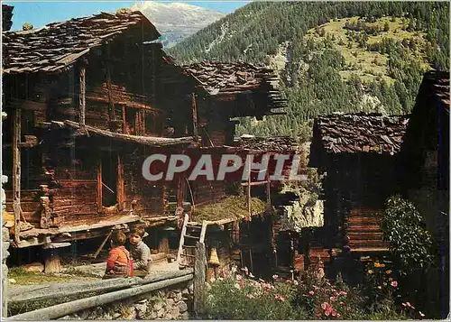 Cartes postales moderne Raccards Valaisans