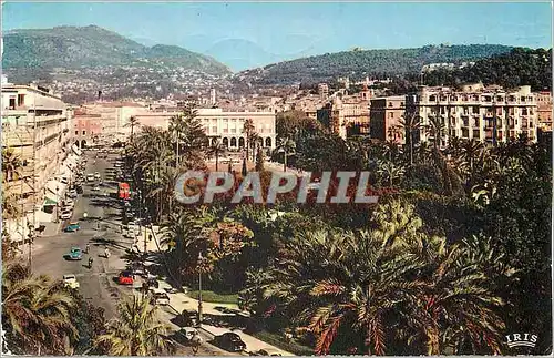 Cartes postales moderne La Cote d'Azur Nice Jardin Albert Ier