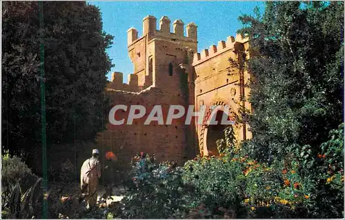 Cartes postales moderne Le Cathedrale a Rabat