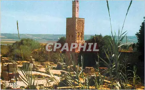 Cartes postales moderne Le Chella a Rabat