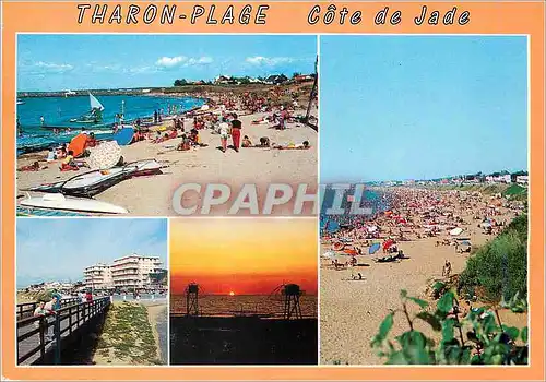Cartes postales moderne Tharon Place Cote de Jade