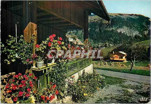 Cartes postales moderne Le Mazot Fleuri