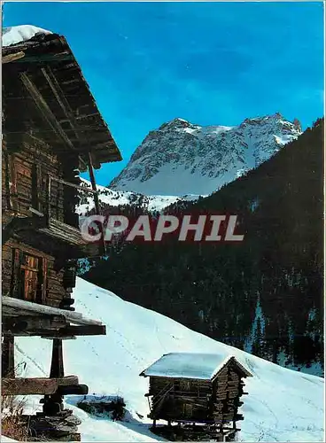 Cartes postales moderne St Luc et le Tounot (Valais Suisse) Alt 1650 m