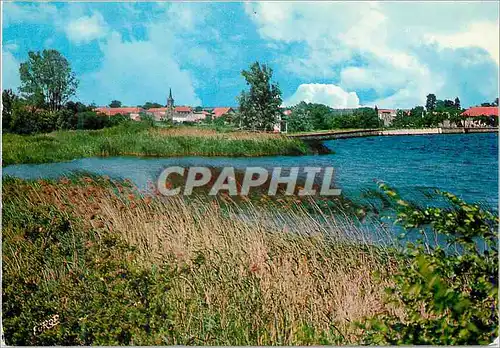 Cartes postales moderne Parc Naturel Regional de Lorraine au Pays des Etangs de Lindre