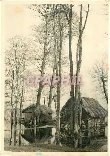 Cartes postales moderne Chaumieres de paille