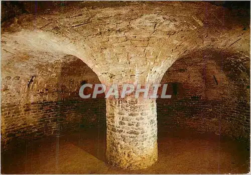 Cartes postales moderne Saint Michel de Cuxa Pilier Palmier de la Crypte de la Creche (XIe s)