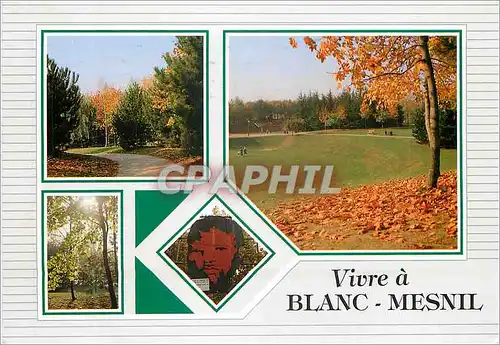 Cartes postales moderne Vivre a Blanc Mesnil Seine Saint Denis le Parc Jacques Duclos avec l'Effigie de Mandela