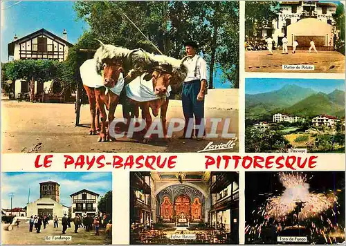 Cartes postales moderne le Pays Basque Pittoresque Attelage Le Fandango Partie de pelote Eglise basque