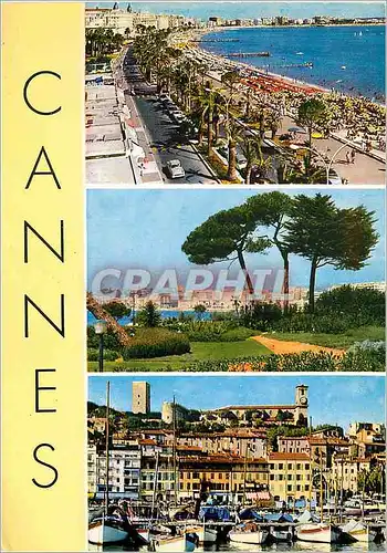 Cartes postales moderne Cannes