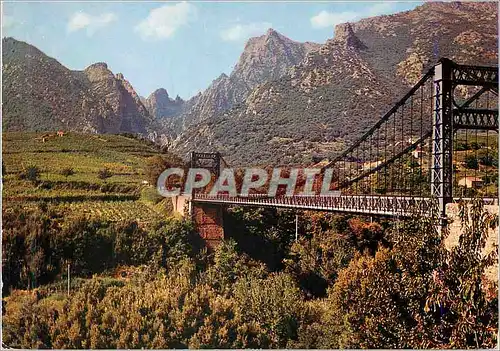 Cartes postales moderne Environs de Lamalou les Bains (Herault) en parcourant le Languedoc