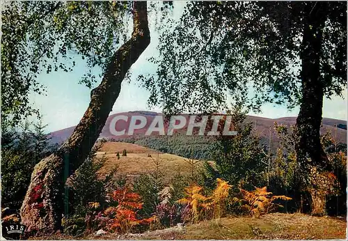 Cartes postales moderne en Correze les Monedieres le Limousin Pittoresque