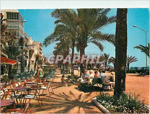 Cartes postales moderne Costa Brava Paseo