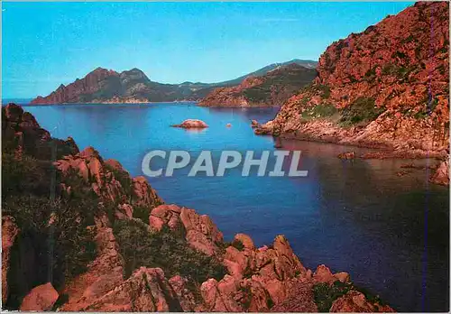 Cartes postales moderne Falaises de l'Esterel la Cote d'Azur