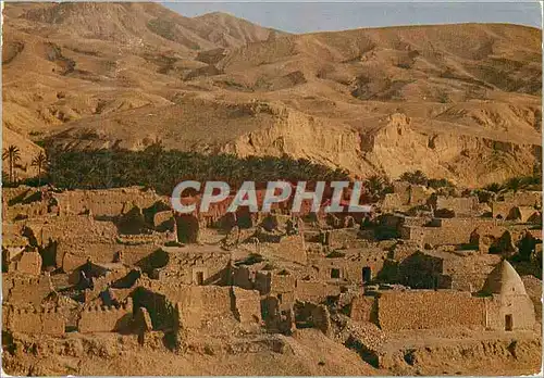 Cartes postales moderne Tunisie Tamerza Oasis de Montagne
