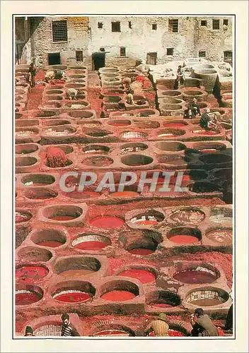 Cartes postales moderne Fes le Quartier des Tanneurs