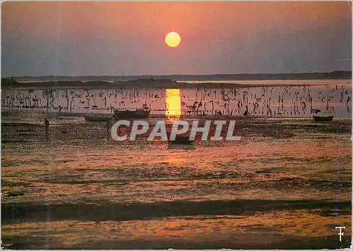 Cartes postales moderne Cote Atlantique Coucher de Soleil a Maree Basse