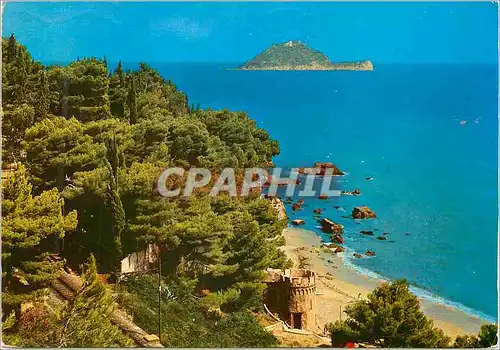 Cartes postales moderne Albenga Alassio Ile Gallinara