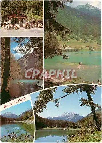 Moderne Karte Lac de Montriond (Haute Savoie) Morzine