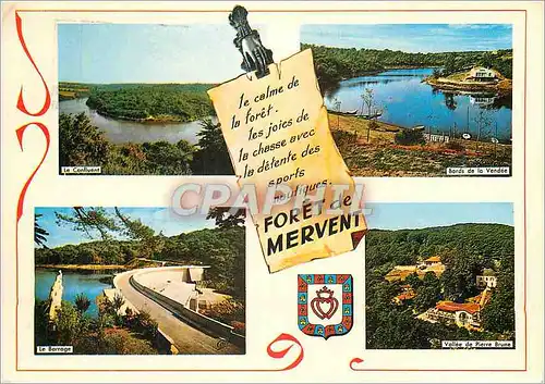 Cartes postales moderne Foret de Mervent