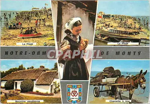 Cartes postales moderne Notre Dame de Monts (Vendee) La plage Bourrine vendeenne Charrette a ane Donkey