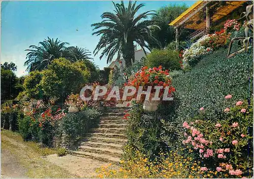 Cartes postales moderne Escalier FLeuri au Rayol la Cote d'Azur