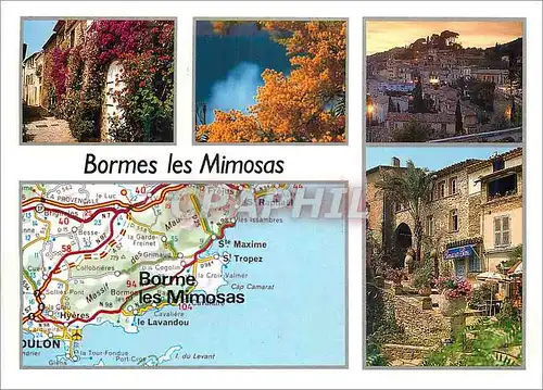 Cartes postales moderne Bormes les Mimosas (Var)