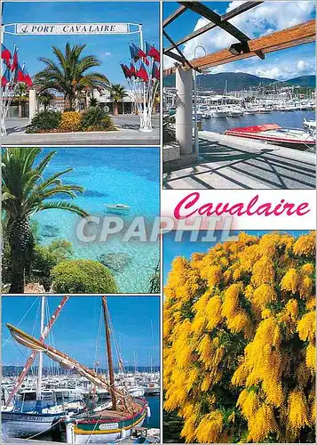 Cartes postales moderne Souvenir de Cavalaire