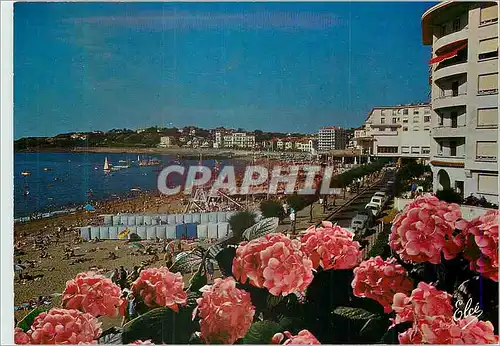 Cartes postales moderne St Jean de Luz la Promenade de la Plage vers la Pergola