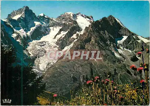 Moderne Karte Col du Lautaret (H A) le Pic Gaspard et la Meije depuis le Jardin Alpin